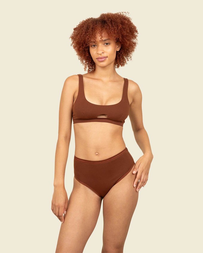 Organic Cotton High-Rise Brief in Cacao 3-Pack from Subset