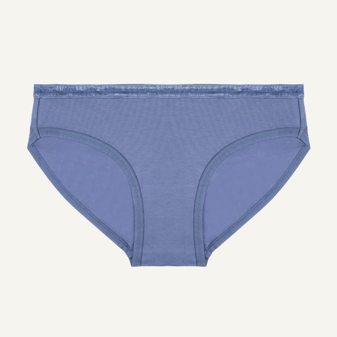 Organic Cotton Low-Rise Brief in Gale from Subset