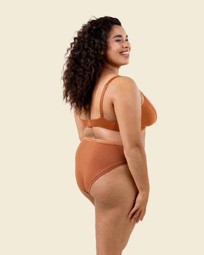 Organic Cotton Mid-Rise Bikini in Spice 3-Pack from Subset