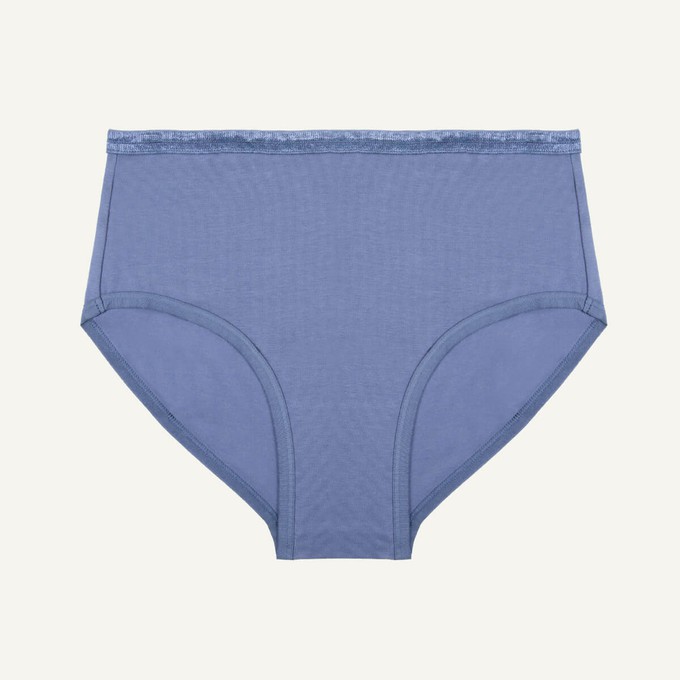 Organic Cotton Mid-Rise Brief in Gale from Subset