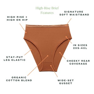 Organic Cotton High-Rise Brief in Spice 3-Pack from Subset