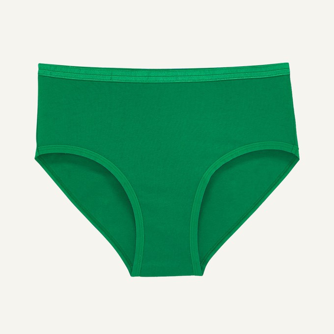 Mid-Rise Brief in Fig Leaf from Subset