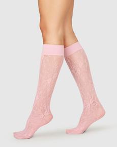 Rosa Lace Knee-Highs via Swedish Stockings