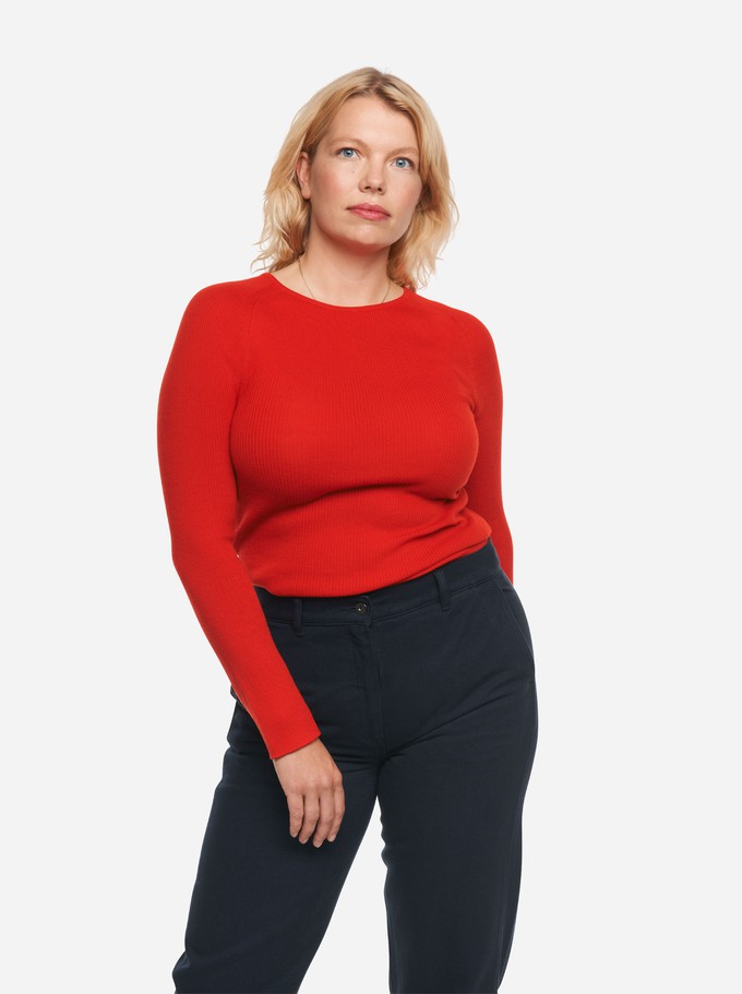 The Merino Top from TEYM