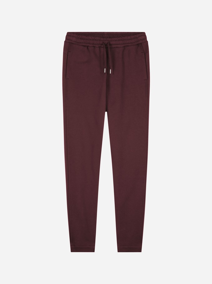 The Sweatpant from TEYM