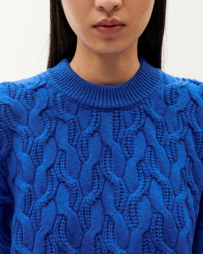 Thinking Mu Sweater Carmen Blue from The Blind Spot