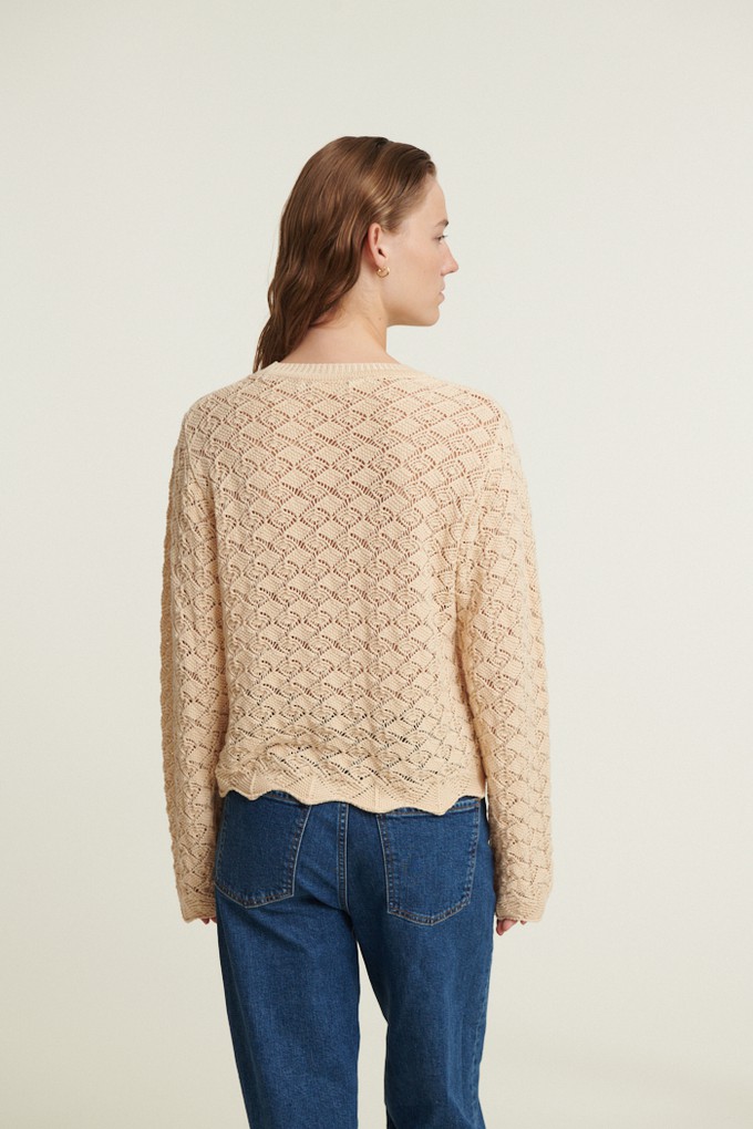 Sweater Dania LS Birch from The Blind Spot