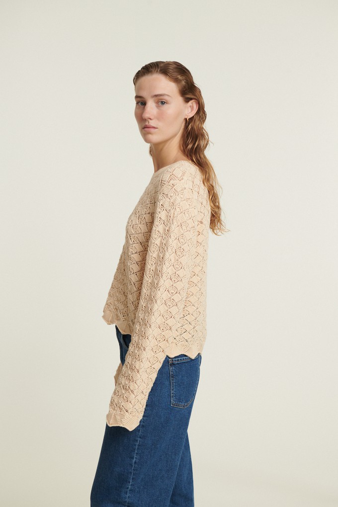 Sweater Dania LS Birch from The Blind Spot