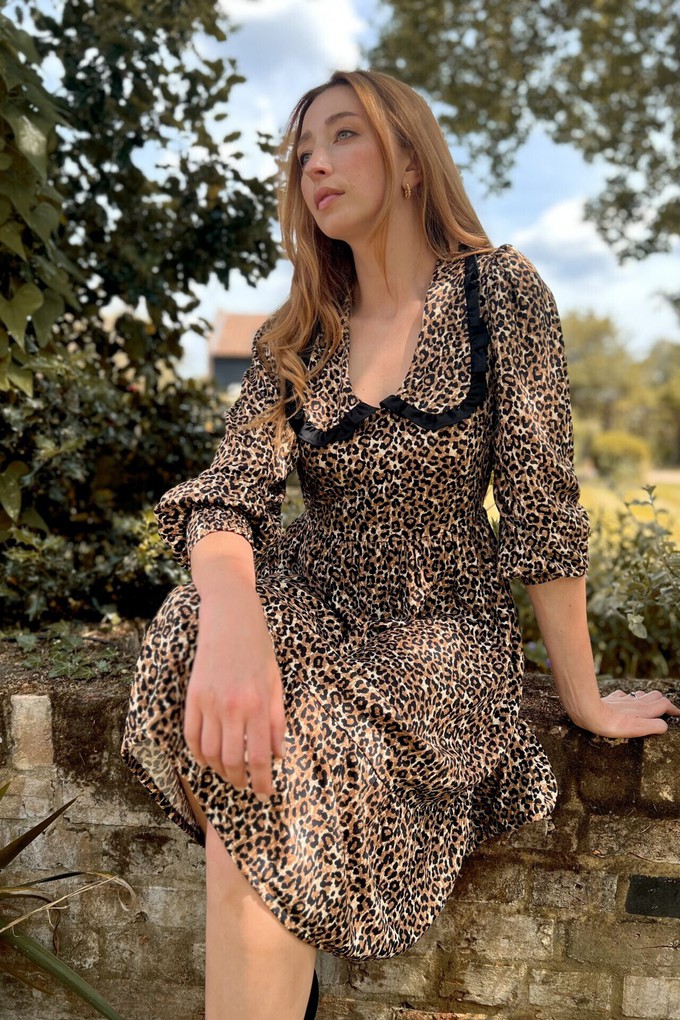 Trixie Leopard Print Collar Dress from Tilbea London