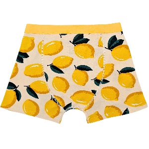 Lemon Organic Cotton Boxer Brief from TIZZ & TONIC