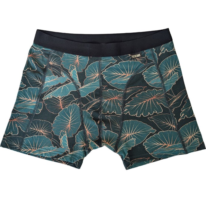 Jungle Micromodal Boxer Brief from TIZZ & TONIC