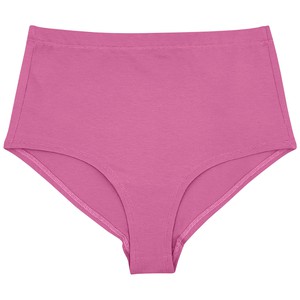 Bubblegum Organic Cotton Hi-Waist Panty from TIZZ & TONIC