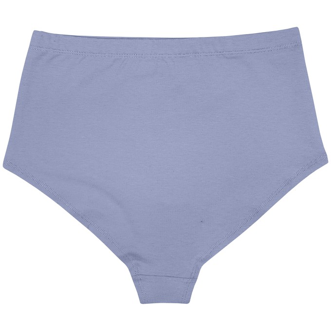 Lavender Hi-Waist Panty from TIZZ & TONIC