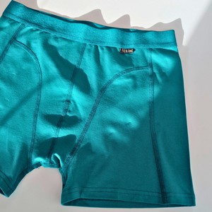 Everglade Organic Cotton Boxer Brief from TIZZ & TONIC