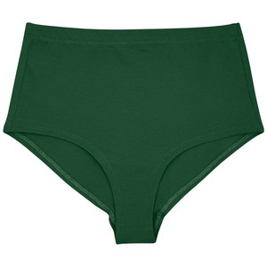 Amazonia Hi-Waist Panty from TIZZ & TONIC