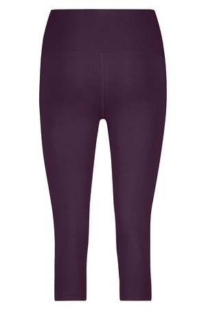 Satya Yoga Capri Legging – Bloom from Urban Goddess