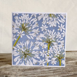 African Lily Greeting Cards from Urbankissed