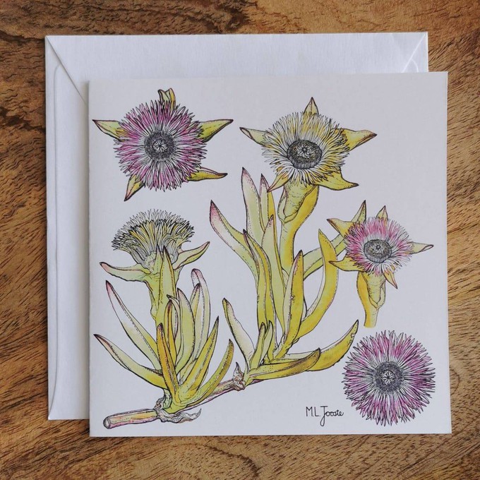 Single Fynbos Greeting Card from Urbankissed