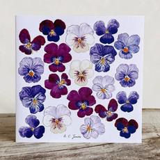 Viola Greeting Cards via Urbankissed