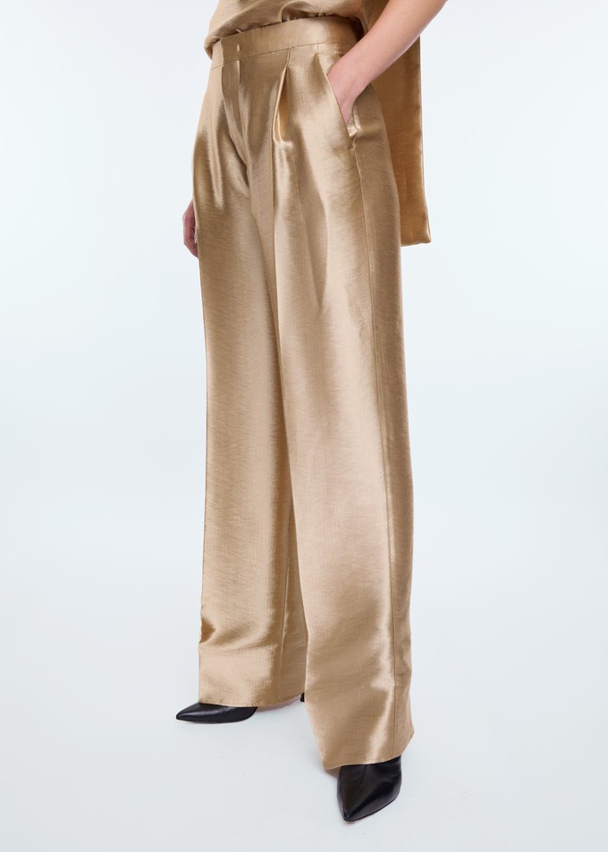 Wide metallic pants from Vanilia