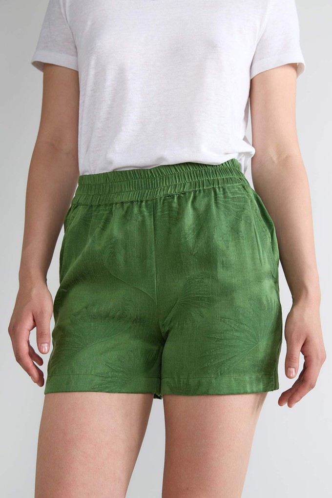 matcha Lightweight Travel Shorts from Yahmo