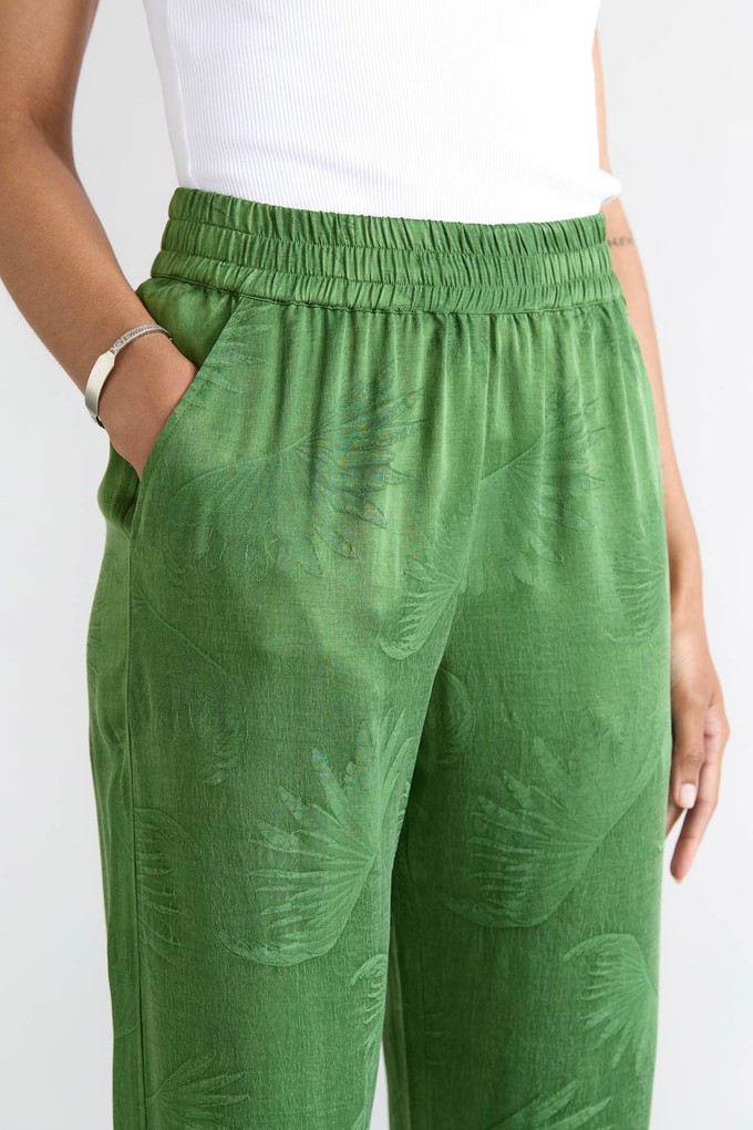 matcha Luxurious Everyday Pants from Yahmo