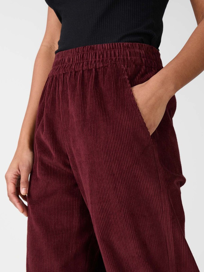 wine Corduroy Pants from Yahmo