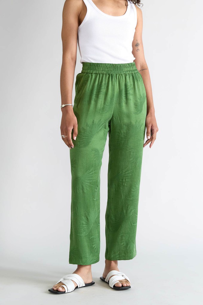 matcha Luxurious Everyday Pants from Yahmo