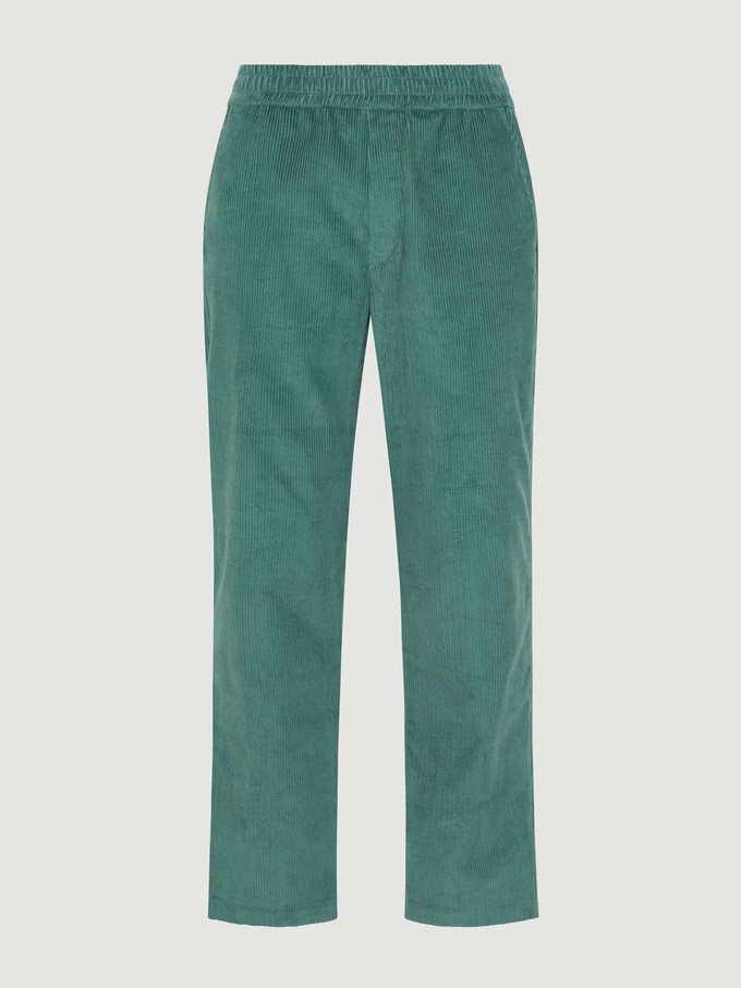 teal Corduroy Pants from Yahmo